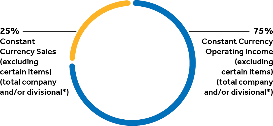 pg61_piechart-annualcashincentive.jpg